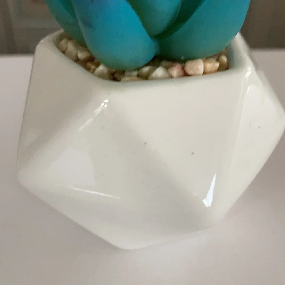 LEAFY CORNER ARTIFICIAL FAKE SUCCULENT PLANTS POTS NWT